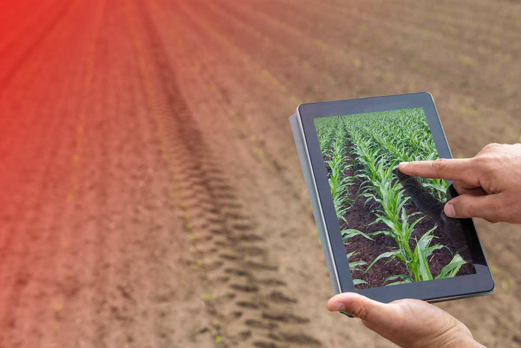 Agripreneurs: Innovación millennials